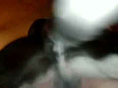 Amateur dog porno with pet owner